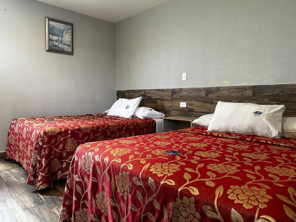 Hotel Teresita Puebla Extérieur photo