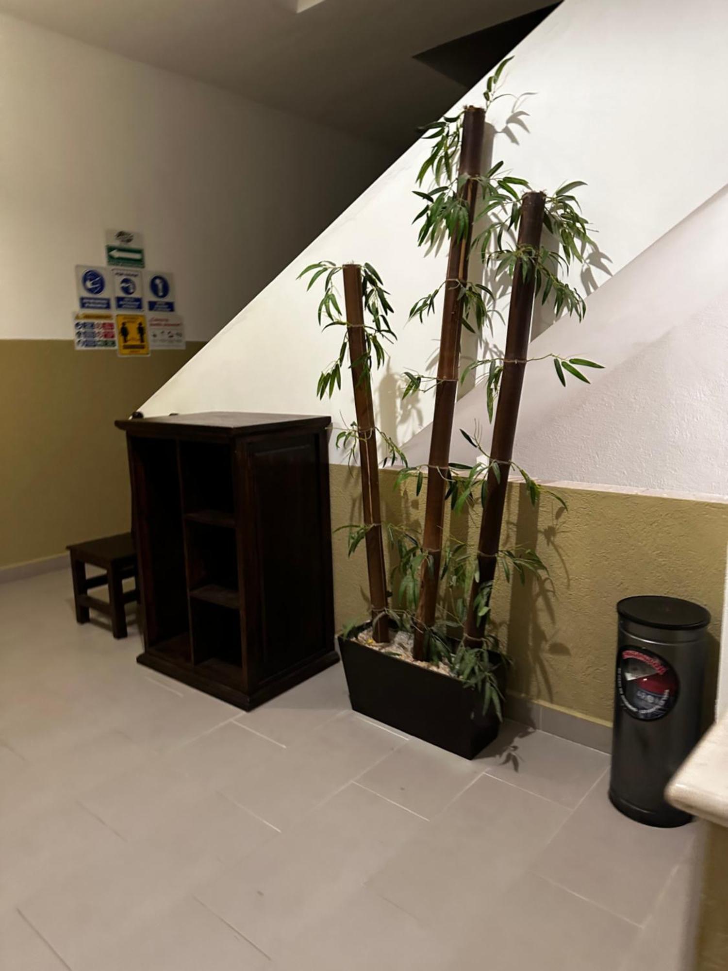 Hotel Teresita Puebla Extérieur photo